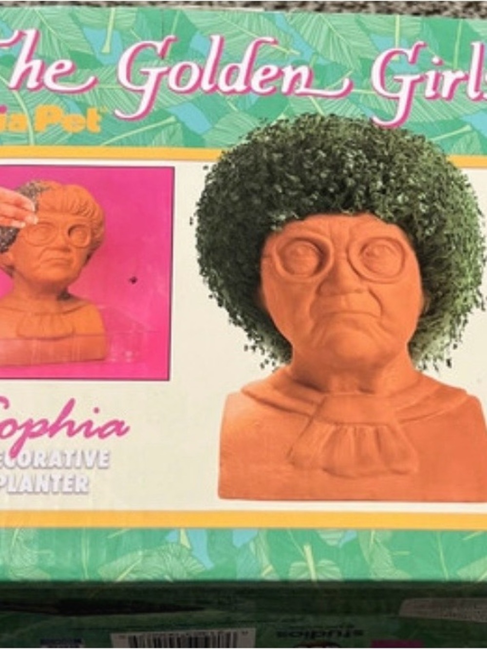Chia pet Golden Girls Sophia